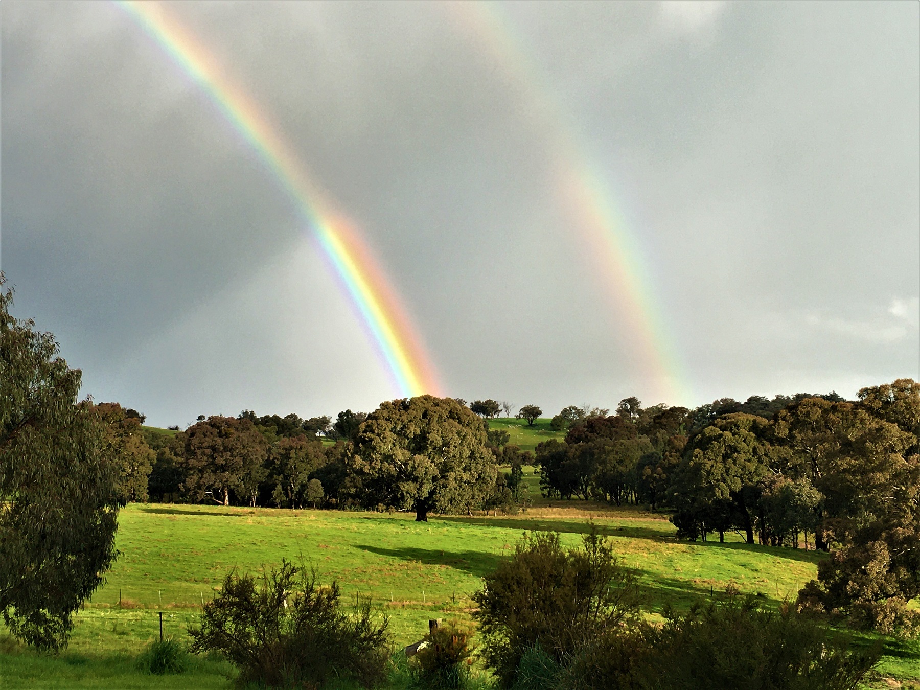 farmview